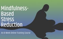 Mindfulness Based Stress Reduction Online Course